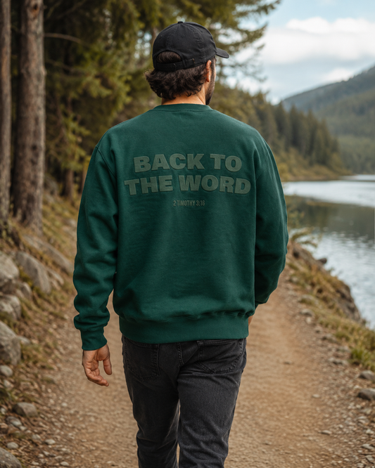 Christlicher Sweater „Back to the Word" – Rückansicht am Bergsee mit 2. Timotheus 3,16 Print | Christian sweater "Back to the Word" – back view by a mountain lake with 2 Timothy 3:16 print